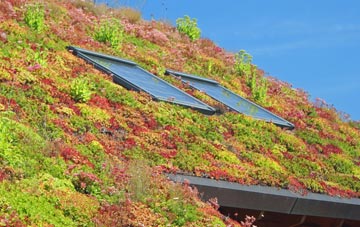 Lower Winchendon Or Nether Winchendon living roof systems