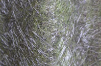 Lower Winchendon Or Nether Winchendon fibreglass roof work